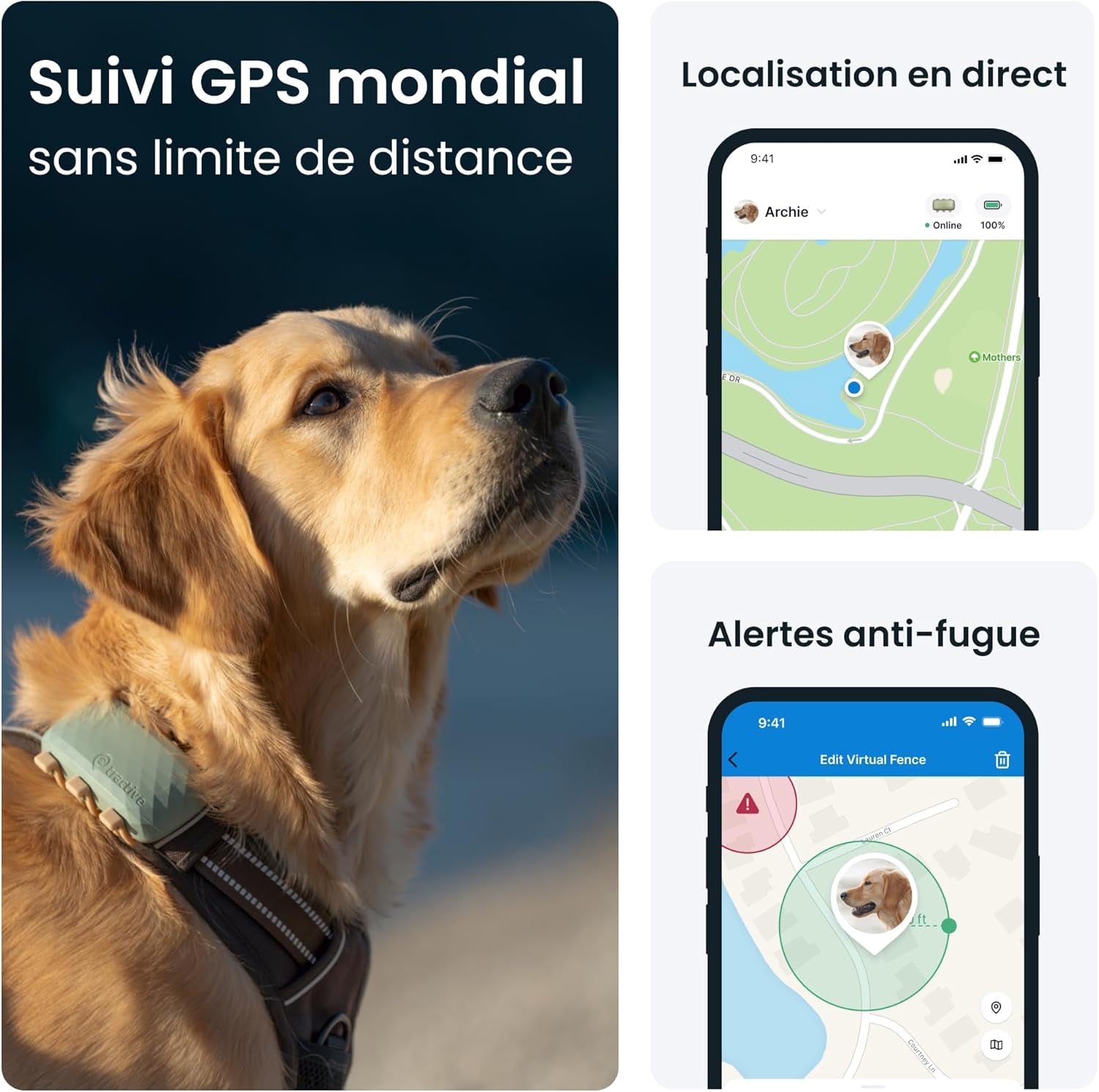 – Collier GPS Pour Chien XL - Jusqu'À 1 Mois D'Autonomie - Élue Marque De L'Année - Localisation Mondiale En Direct - Alertes Anti-Fugue - Moniteur D'Activité Et Alertes De Santé