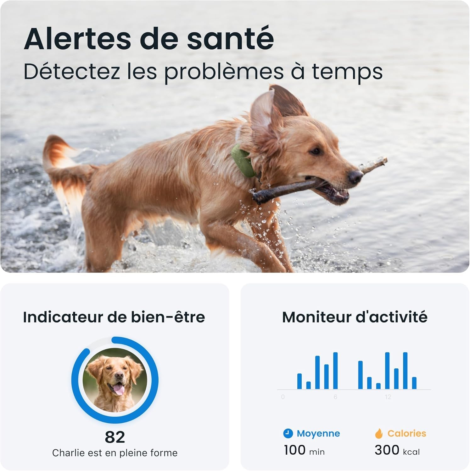 – Collier GPS Pour Chien XL - Jusqu'À 1 Mois D'Autonomie - Élue Marque De L'Année - Localisation Mondiale En Direct - Alertes Anti-Fugue - Moniteur D'Activité Et Alertes De Santé